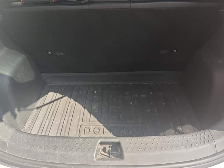 Фото 4 - BYD Dolphin