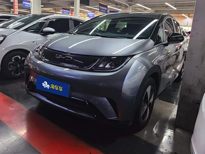 Фото 1 - BYD Dolphin