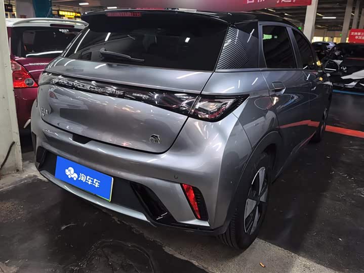 Фото 3 - BYD Dolphin