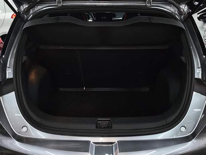 Фото 4 - BYD Dolphin