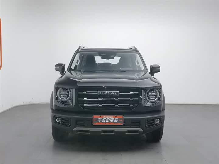 Фото 3 - Haval Dargo