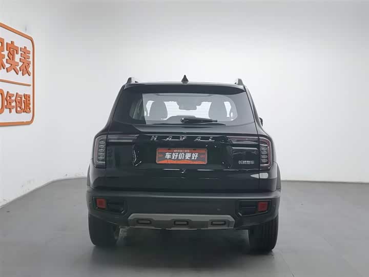 Фото 4 - Haval Dargo