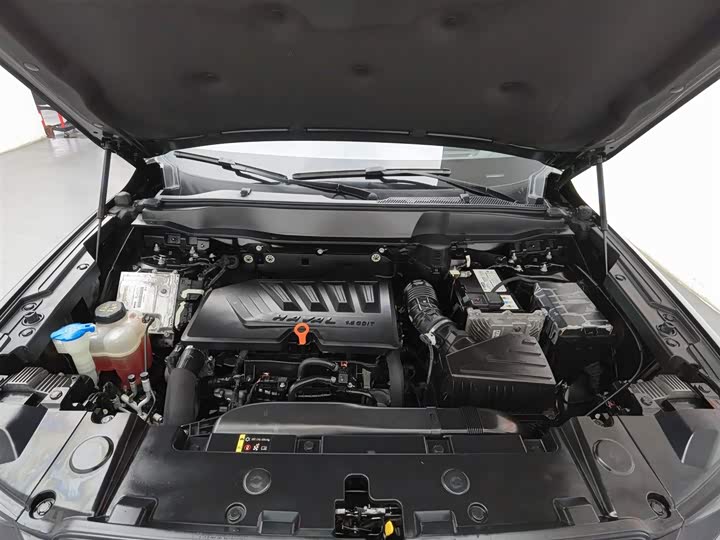 Фото 6 - Haval Dargo