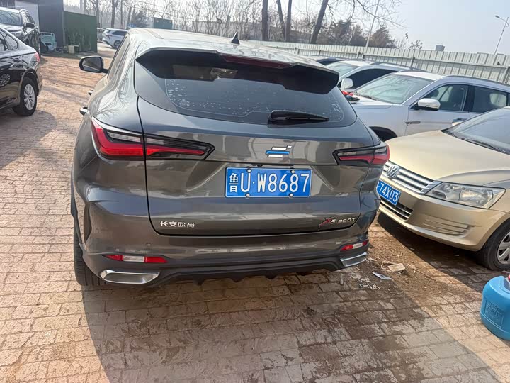 Фото 4 - Changan Oshan X5