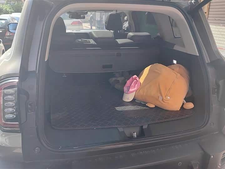 Фото 4 - Haval Dargo