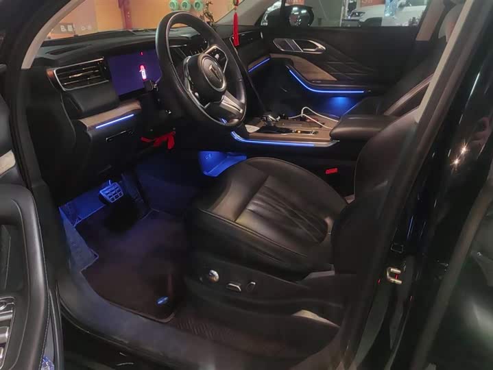 Фото 9 - Hongqi HS7