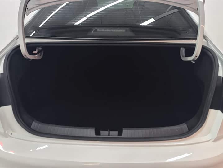 Фото 4 - Volkswagen Sagitar L