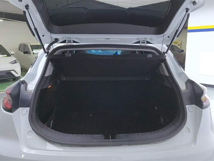 Фото 4 - Geely Emgrand GS