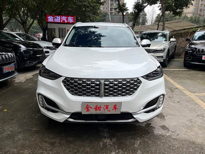 Фото 2 - Wey VV6