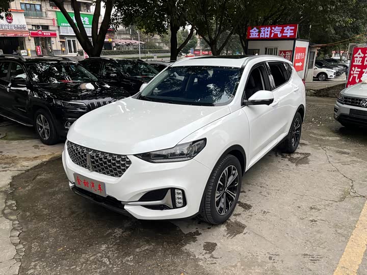 Фото 3 - Wey VV6