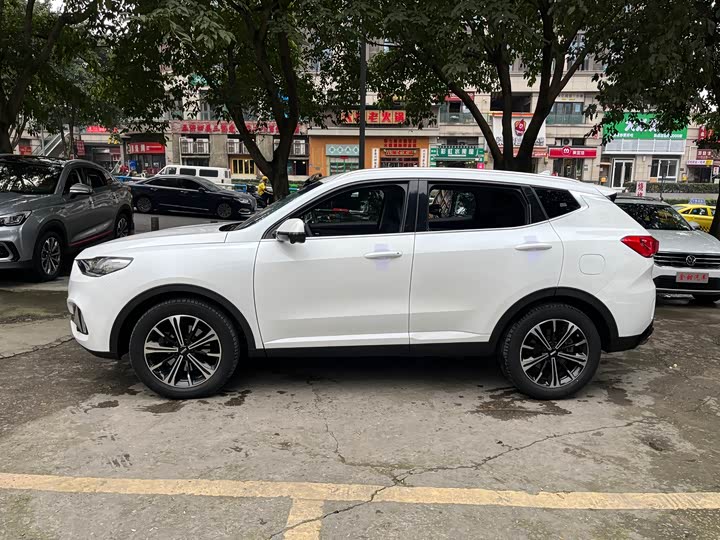 Фото 4 - Wey VV6