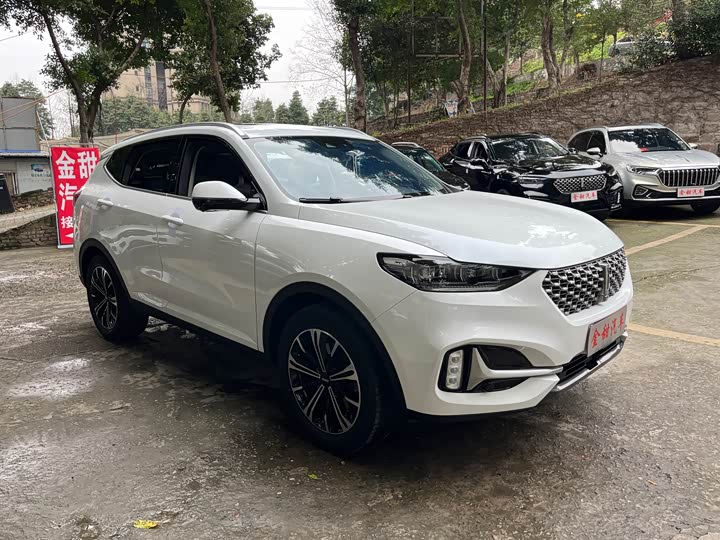 Фото 7 - Wey VV6