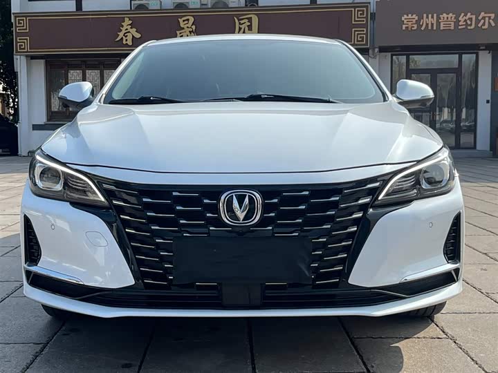 Фото 2 - Changan Raeton CC