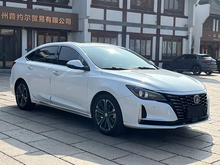 Фото 7 - Changan Raeton CC