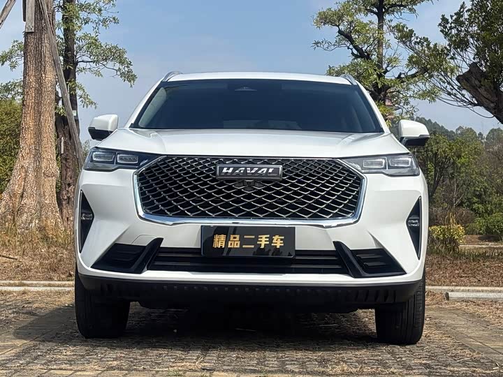 Фото 2 - Haval H6