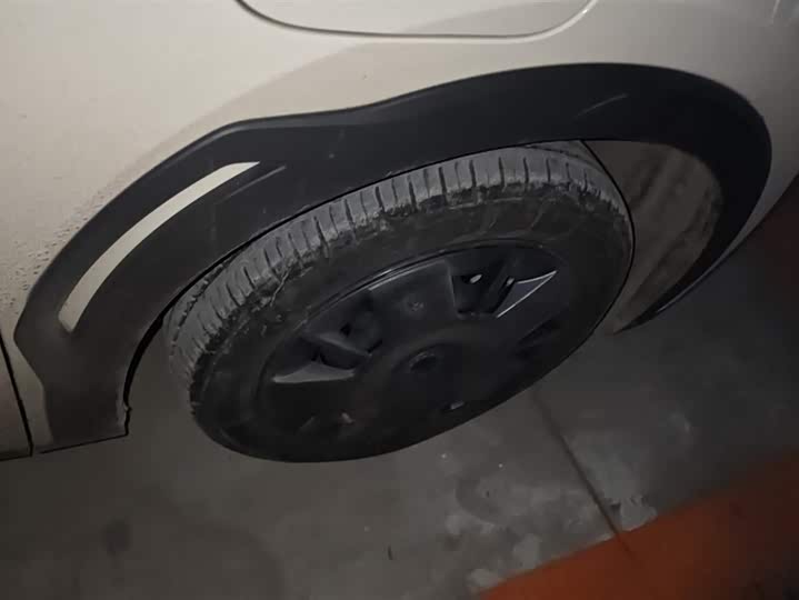 Фото 6 - BYD Seagull