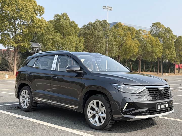 Фото 2 - Jetta VS7