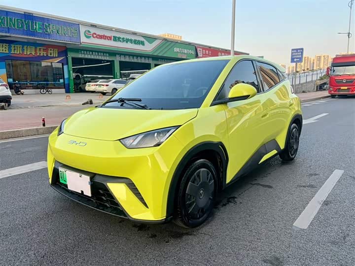 Фото 1 - BYD Seagull