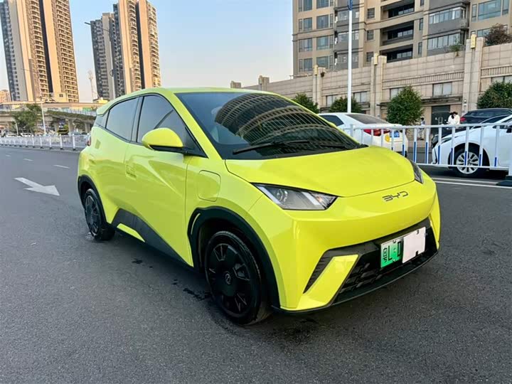 Фото 2 - BYD Seagull