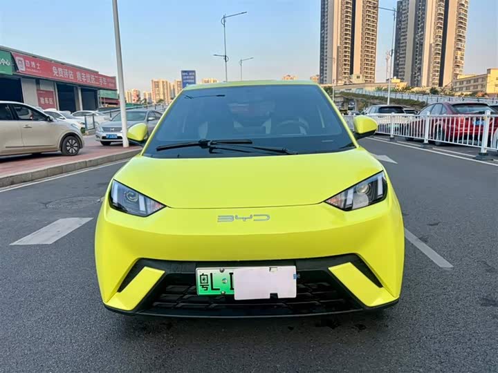 Фото 3 - BYD Seagull