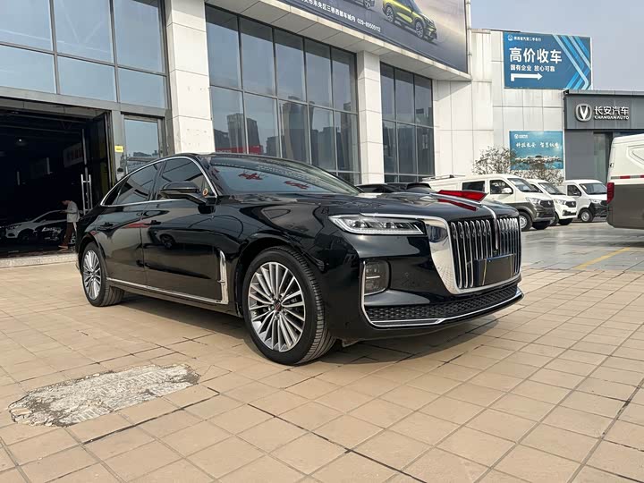 Фото 2 - Hongqi H9
