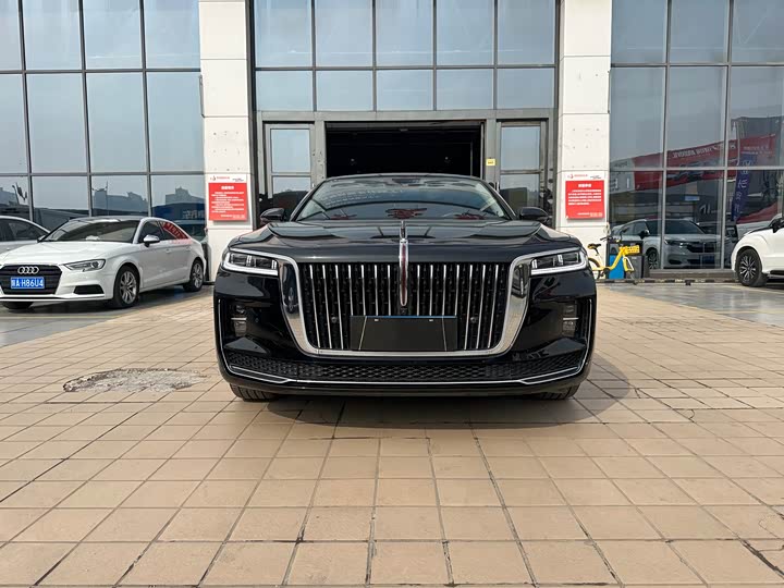 Фото 3 - Hongqi H9