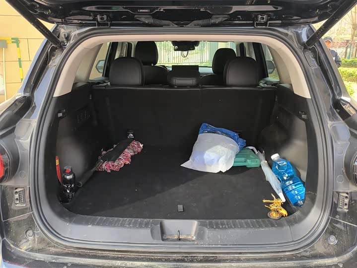 Фото 4 - Haval H-Dog