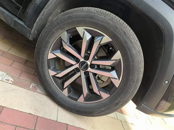 Фото 6 - Haval H-Dog