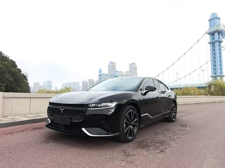 Фото 1 - Voyah Passion