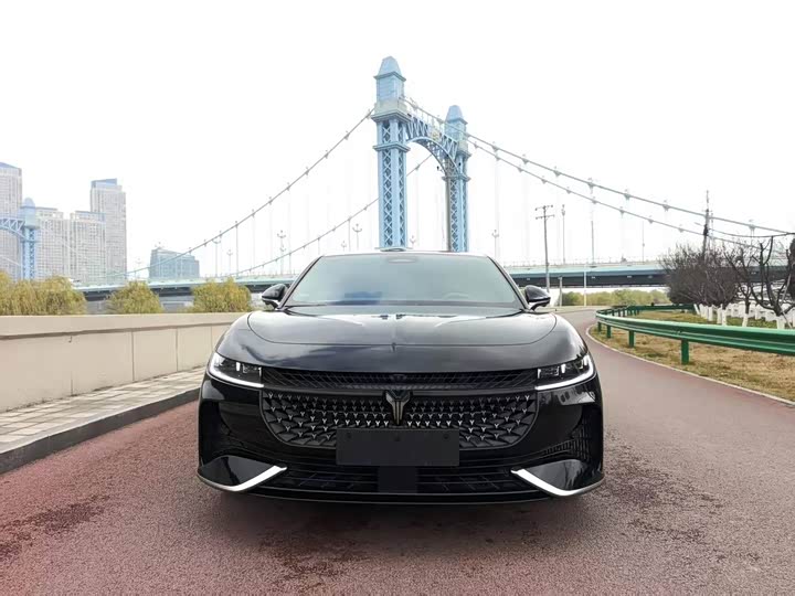 Фото 2 - Voyah Passion