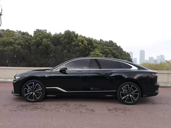 Фото 7 - Voyah Passion