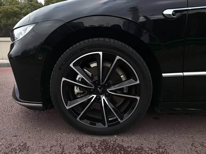 Фото 8 - Voyah Passion