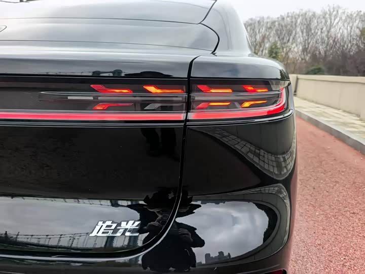 Фото 9 - Voyah Passion