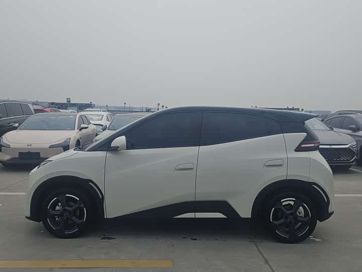 Фото 2 - BYD Seagull