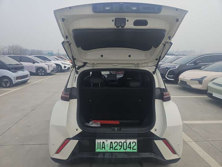 Фото 6 - BYD Seagull