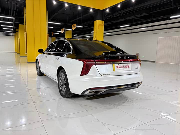 Фото 6 - Hongqi H5