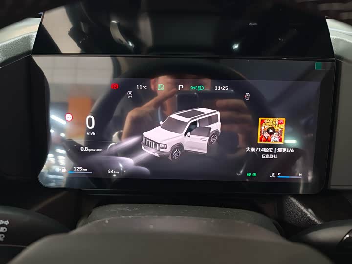 Фото 6 - Haval Raptor