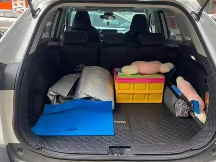 Фото 4 - Toyota Wildlander