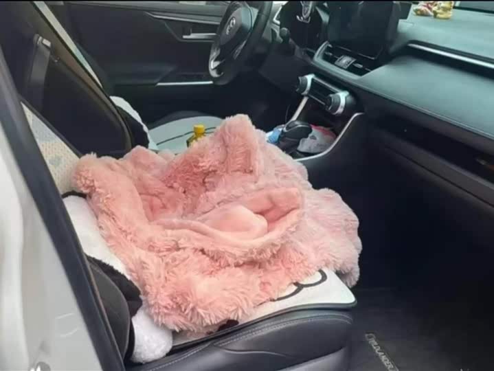 Фото 8 - Toyota Wildlander