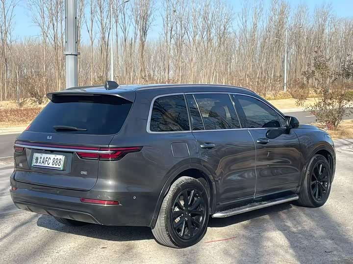 Фото 9 - LiXiang One