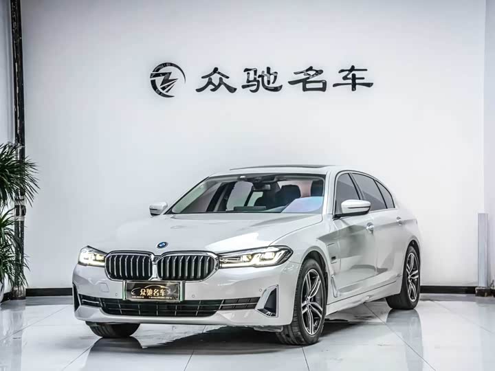 Фото 1 - BMW 5 Series Hybrid