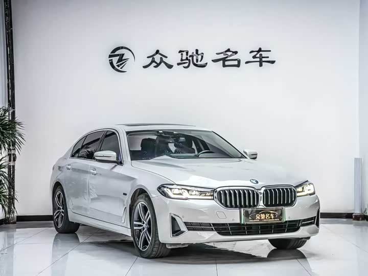 Фото 3 - BMW 5 Series Hybrid