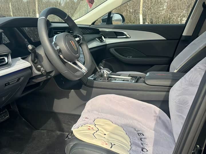 Фото 4 - Hongqi H5