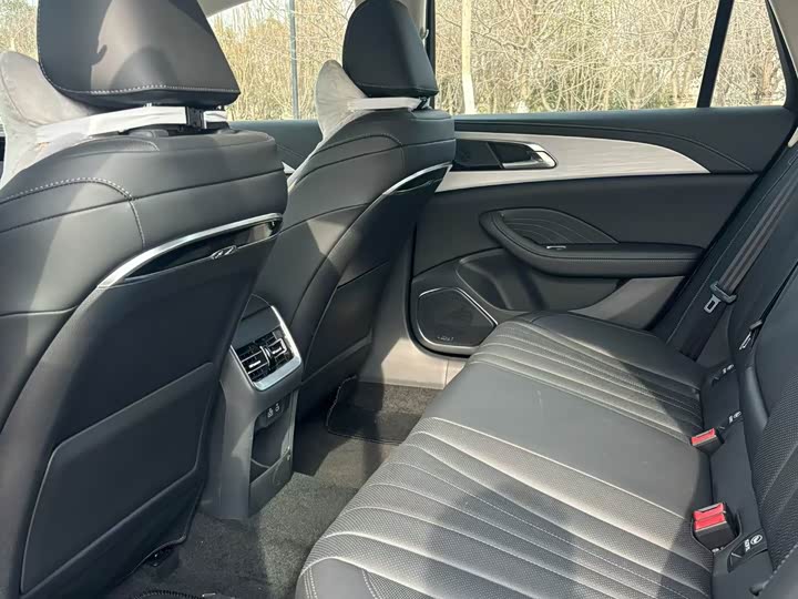 Фото 6 - Hongqi H5