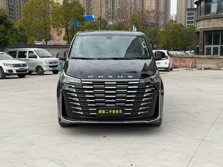 Фото 2 - Maxus G10