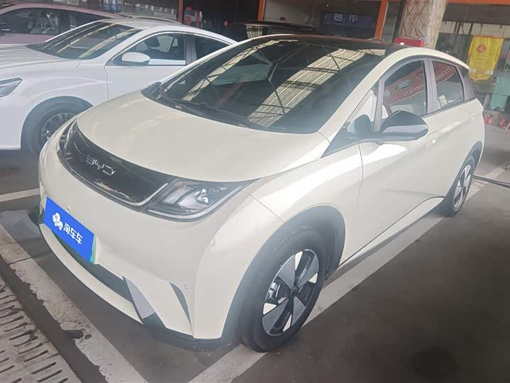 Фото 1 - BYD Dolphin