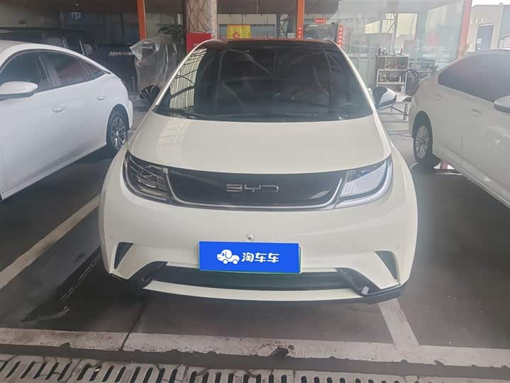 Фото 2 - BYD Dolphin