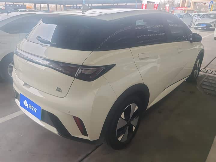 Фото 3 - BYD Dolphin