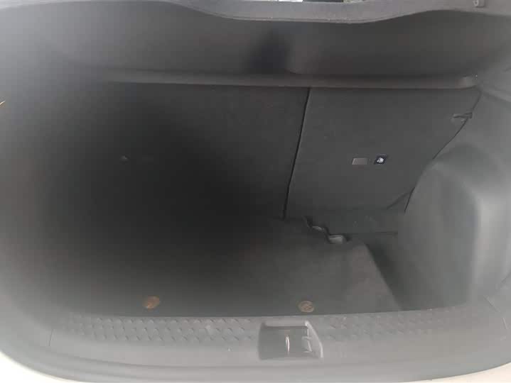 Фото 4 - BYD Dolphin