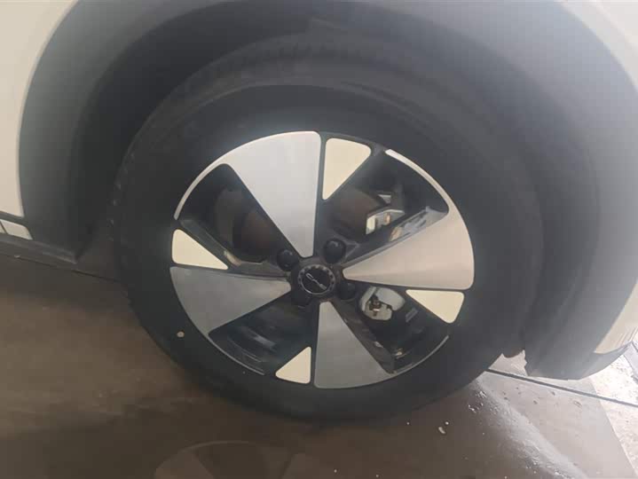 Фото 6 - BYD Dolphin